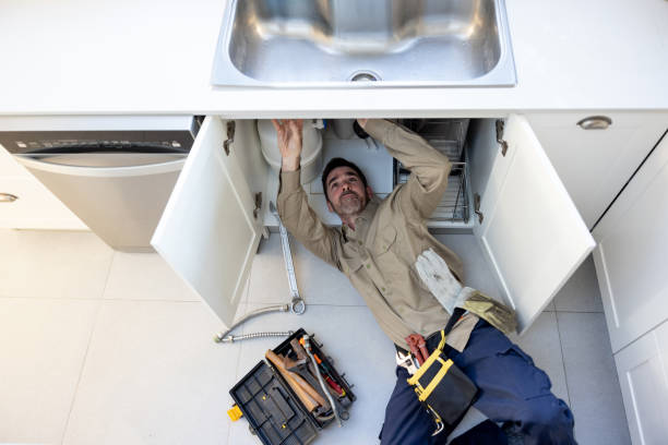  Waikoloa Village, HI Plumbing Pros