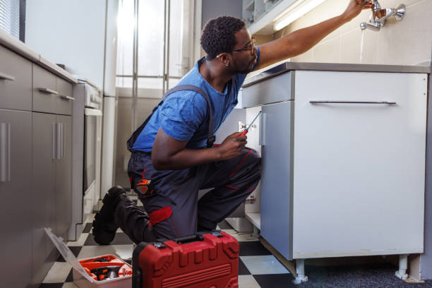 Best Affordable Plumbing Services  in Waikoloa Village, HI